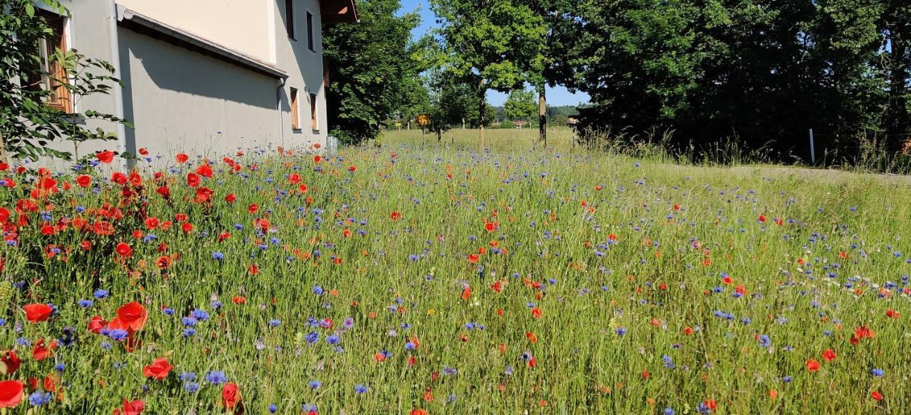 Ferienwohnung Ponlach Титмонинг Экстерьер фото